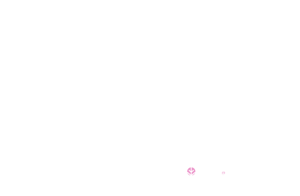 Diverter Valve